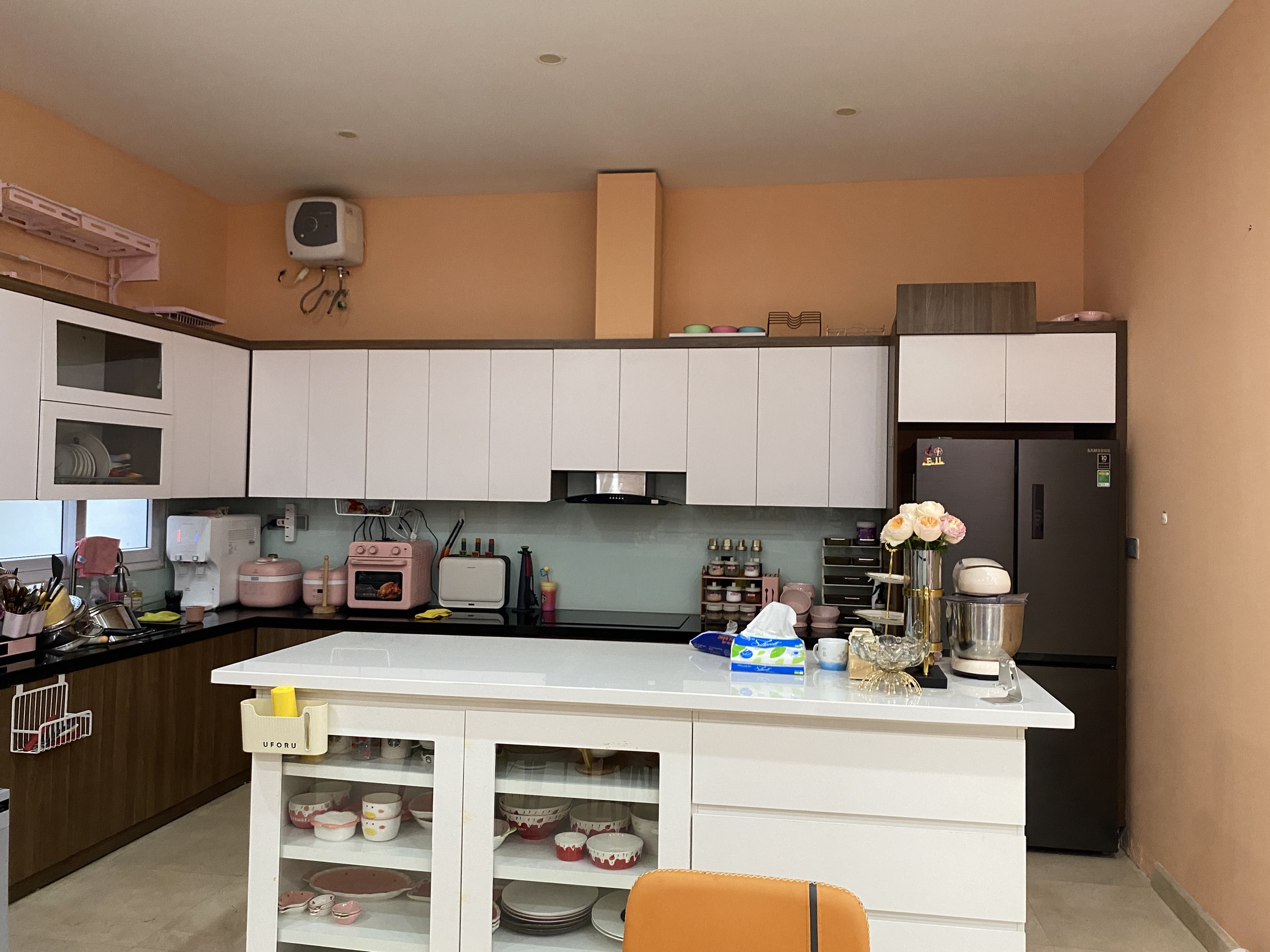 Bán biệt thư đã sửa đẹp ở Lô K2 Khu Đô Thị Nam Thăng Long Ciputra giá rẻ 2